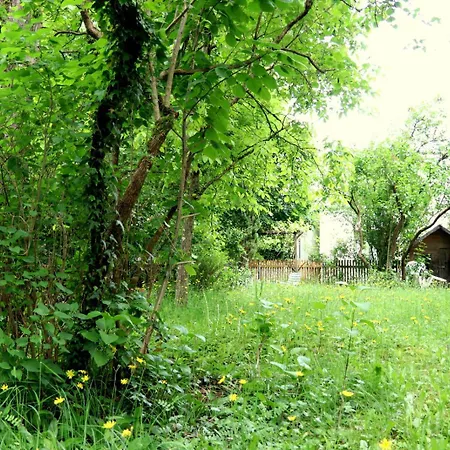 Thaysia Mit 4 Zimmern Und Terrasse Und Garten Appartement