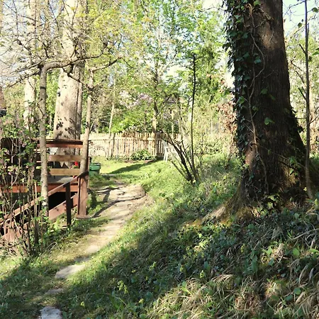 Apartamento Thaysia Mit 4 Zimmern Und Terrasse Und Garten *