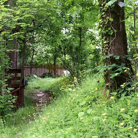 Thaysia Mit 4 Zimmern Und Terrasse Und Garten